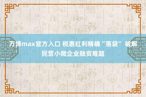 万博max官方入口 税惠红利精确“落袋” 破解民营小微企业融资难题