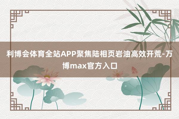 利博会体育全站APP聚焦陆相页岩油高效开荒-万博max官方入口