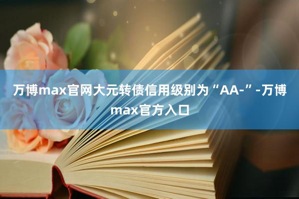 万博max官网大元转债信用级别为“AA-”-万博max官方入口