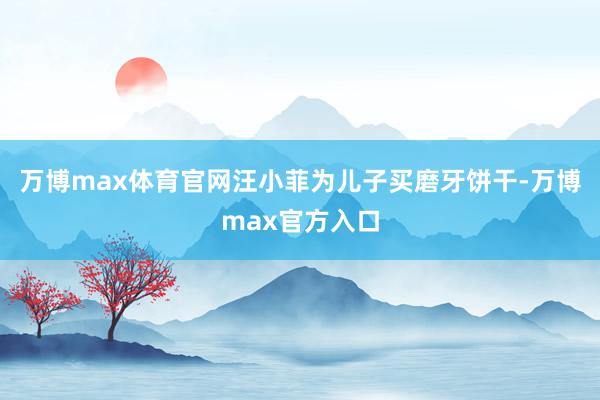 万博max体育官网汪小菲为儿子买磨牙饼干-万博max官方入口