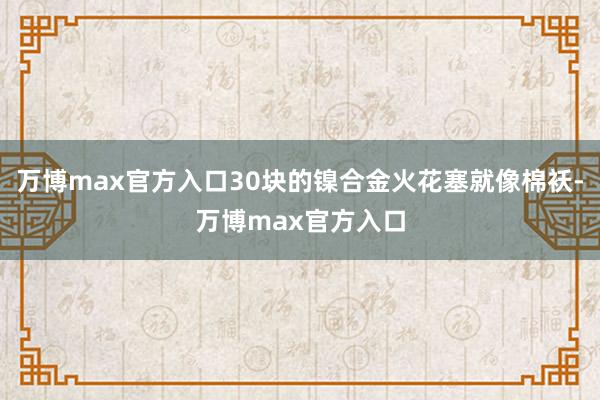 万博max官方入口30块的镍合金火花塞就像棉袄-万博max官方入口