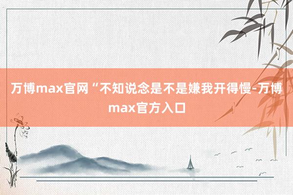 万博max官网“不知说念是不是嫌我开得慢-万博max官方入口